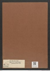 Eunotia ? parallela Ehr. (de-Toni-Nr.: Genus 104, Species 3159) Zeichnungen Sammlung Grunow Mappe 03407 (Herbarium_W_Grunow_drawings_Folder_03407)